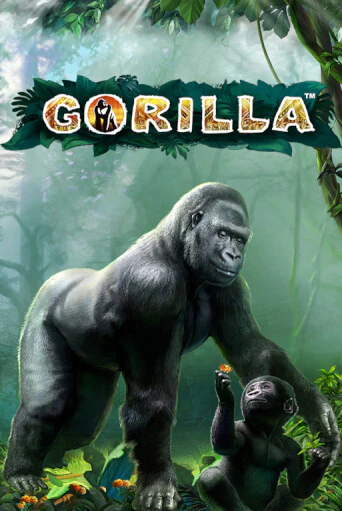 Gorilla демо игра | Гранд Казино играть без регистрации 